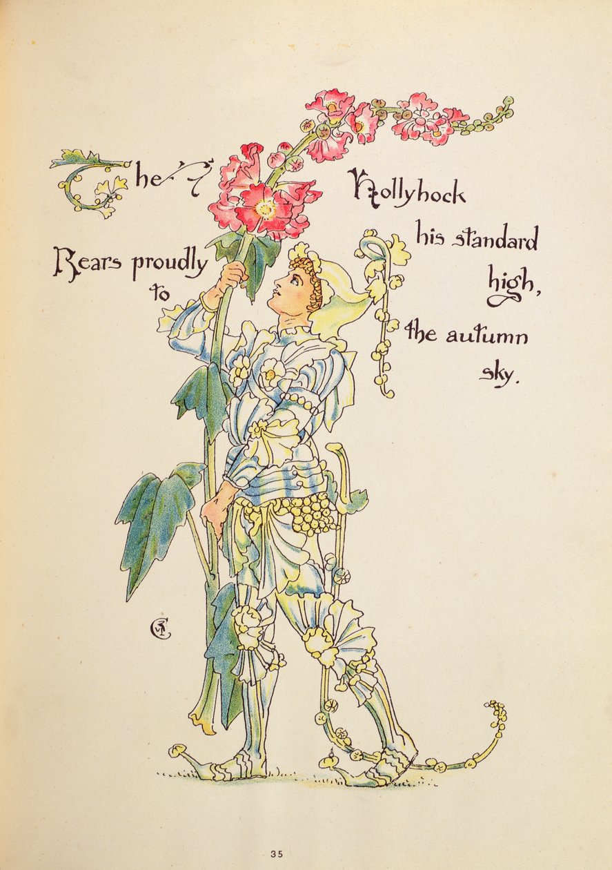 A Hollyhock a 