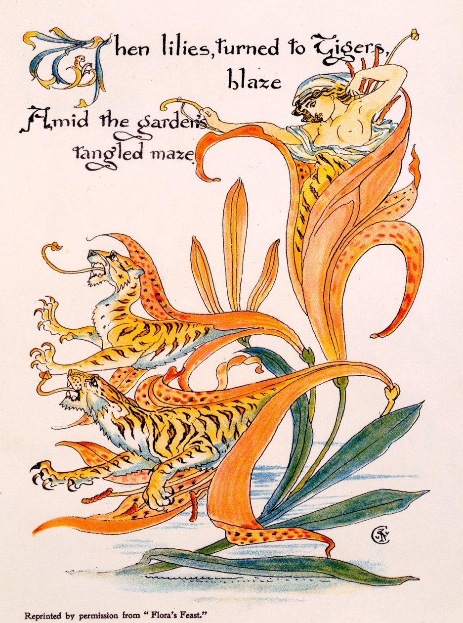 Tigrisliliomok, Walter Crane "Flora