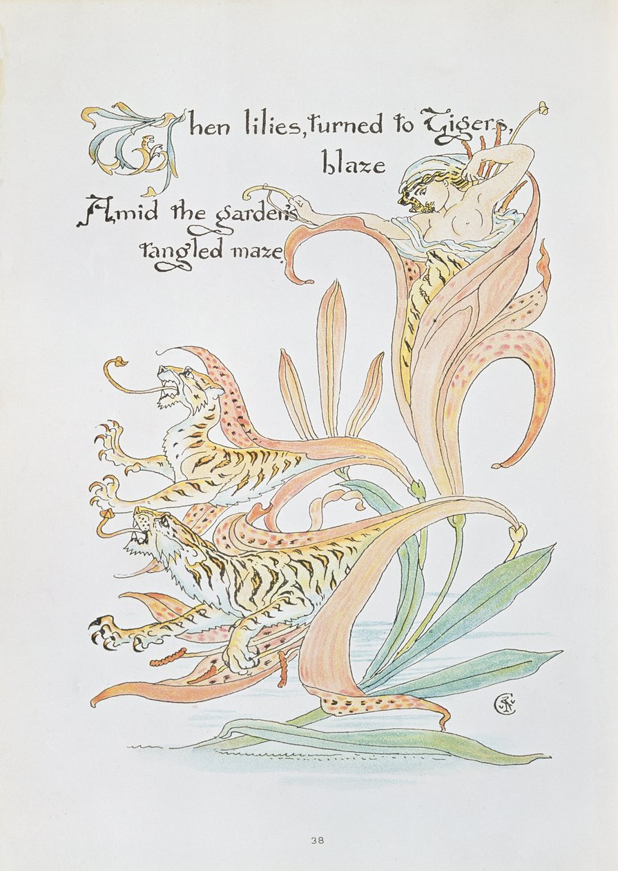 "Amikor a liliomok Tigrislánghoz fordultak", illusztráció a "Flora