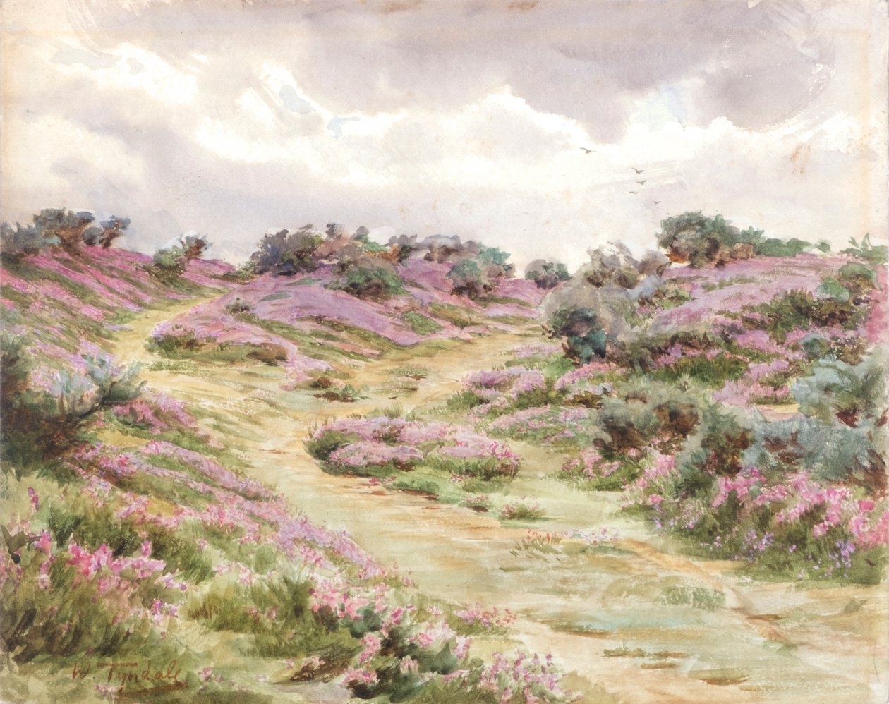 Bell Heather on Setley Plain (akvarell) alkotó: Walter Frederick Roofe Tyndale