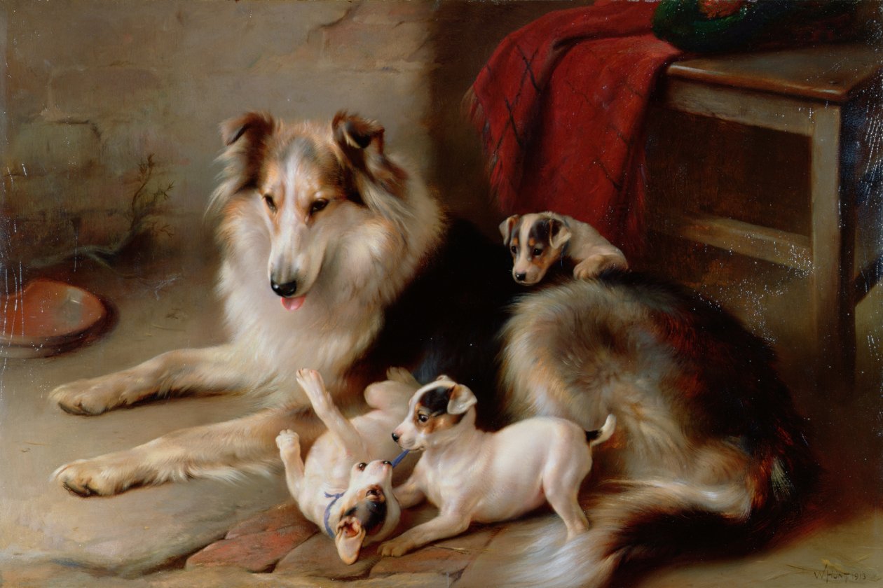 Collie foxterrier kölykökkel, 1913 alkotó: Walter Hunt