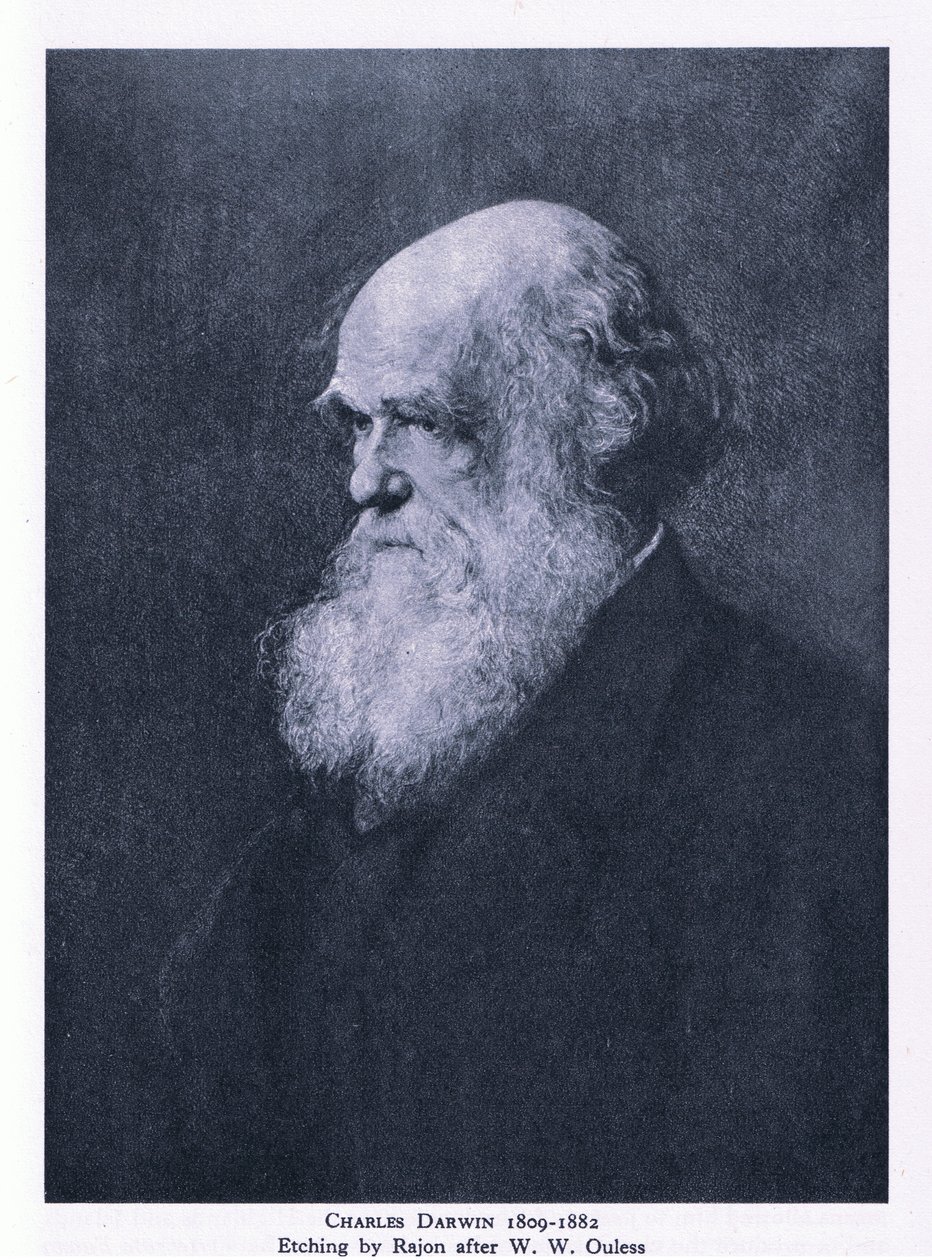 Charles Darwin rézkarca, Nature in Britain kiadó: Collins alkotó: Walter William (after) Ouless