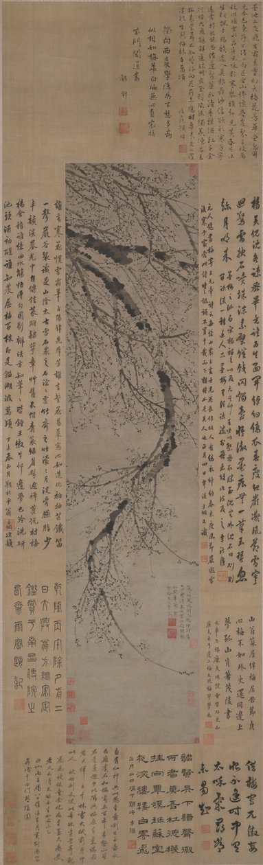 Tinta szilva alkotó: Wang Mian