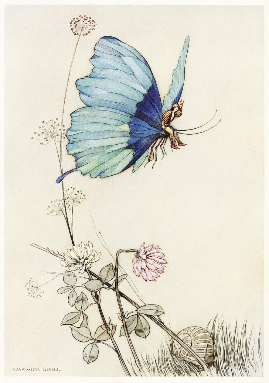 A pillangó szárnyat kapott, és felszállt a levegőbe kis Tomival a hátán, a The Fairy Book kocsmából. 1913 alkotó: Warwick Goble