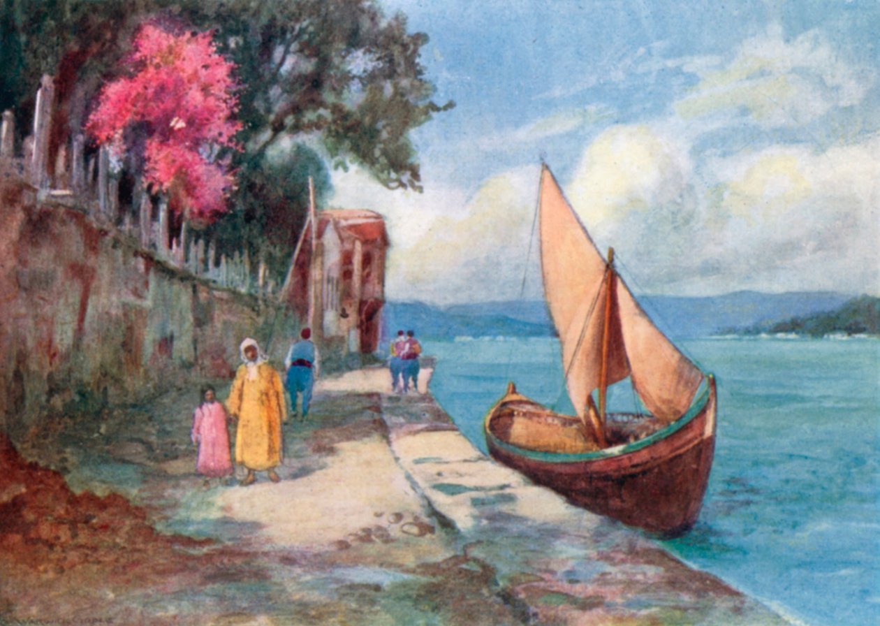  alkotó: Warwick (after) Goble