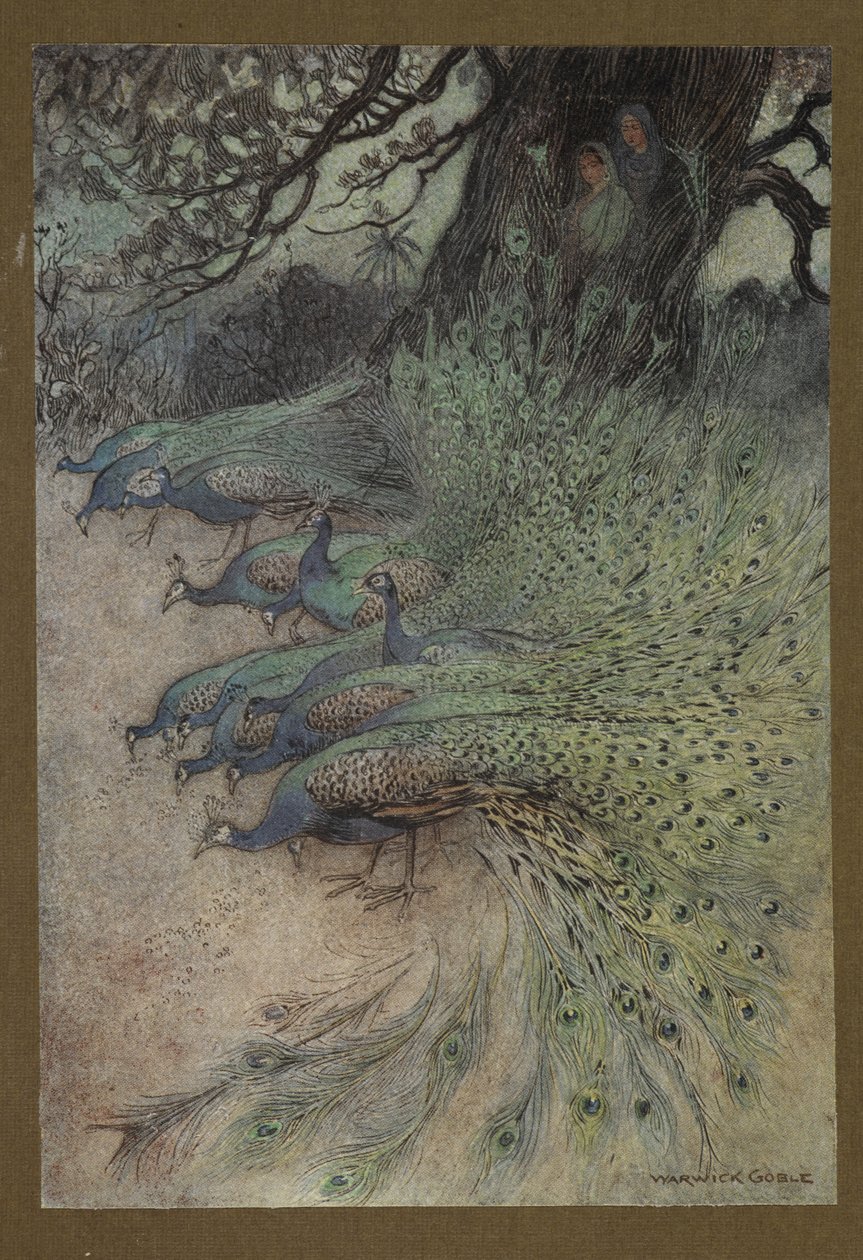 11. tábla: „Pávak százai érkeztek a töltésekre, hogy megegyék a khait”, a Folk-Tales of Bengal-ból... Warwick Goble 32 színes illusztrációjával. (De luxe kiadás.) alkotó: Warwick Goble