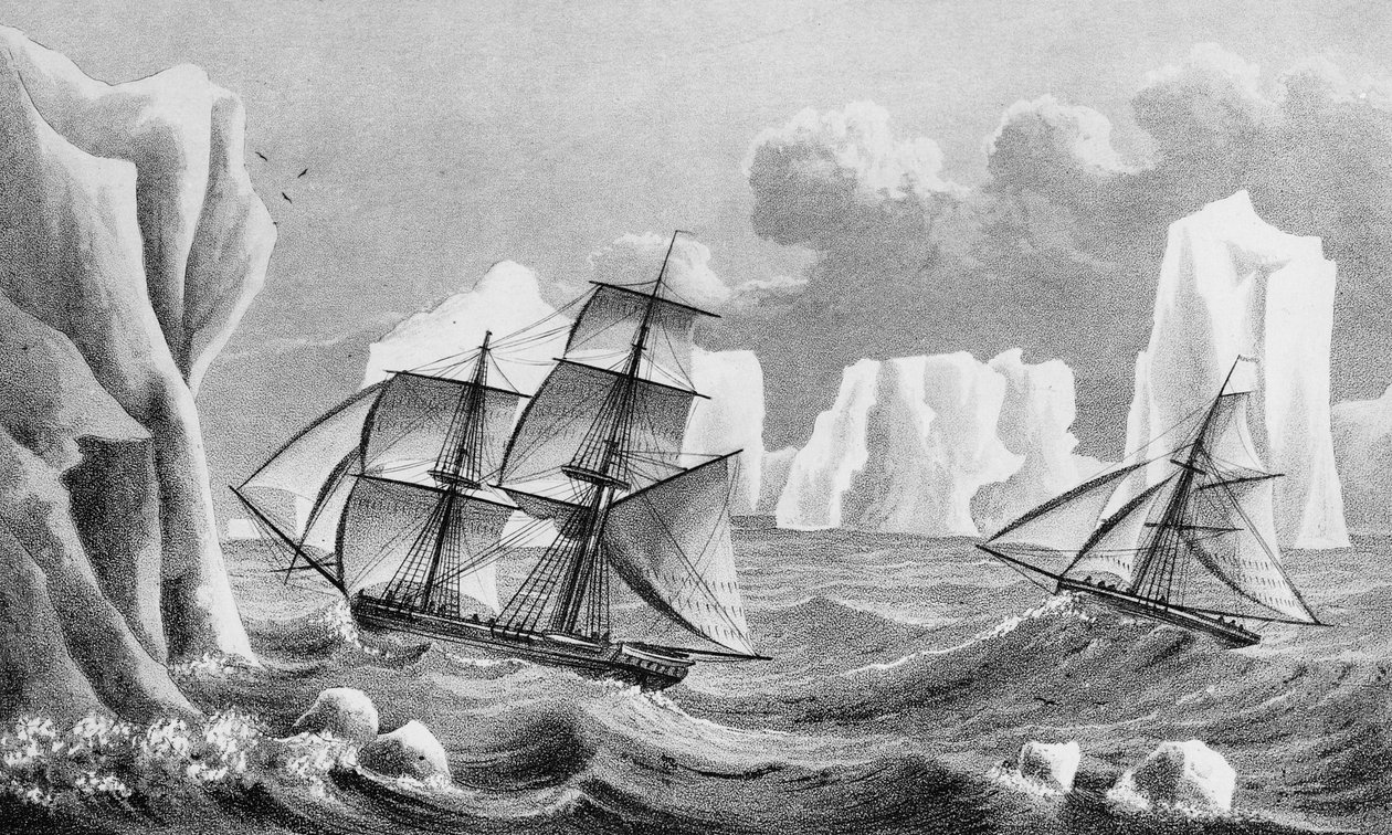 Jane brigg és Beaufoy vágó, 1825 alkotó: Weddell