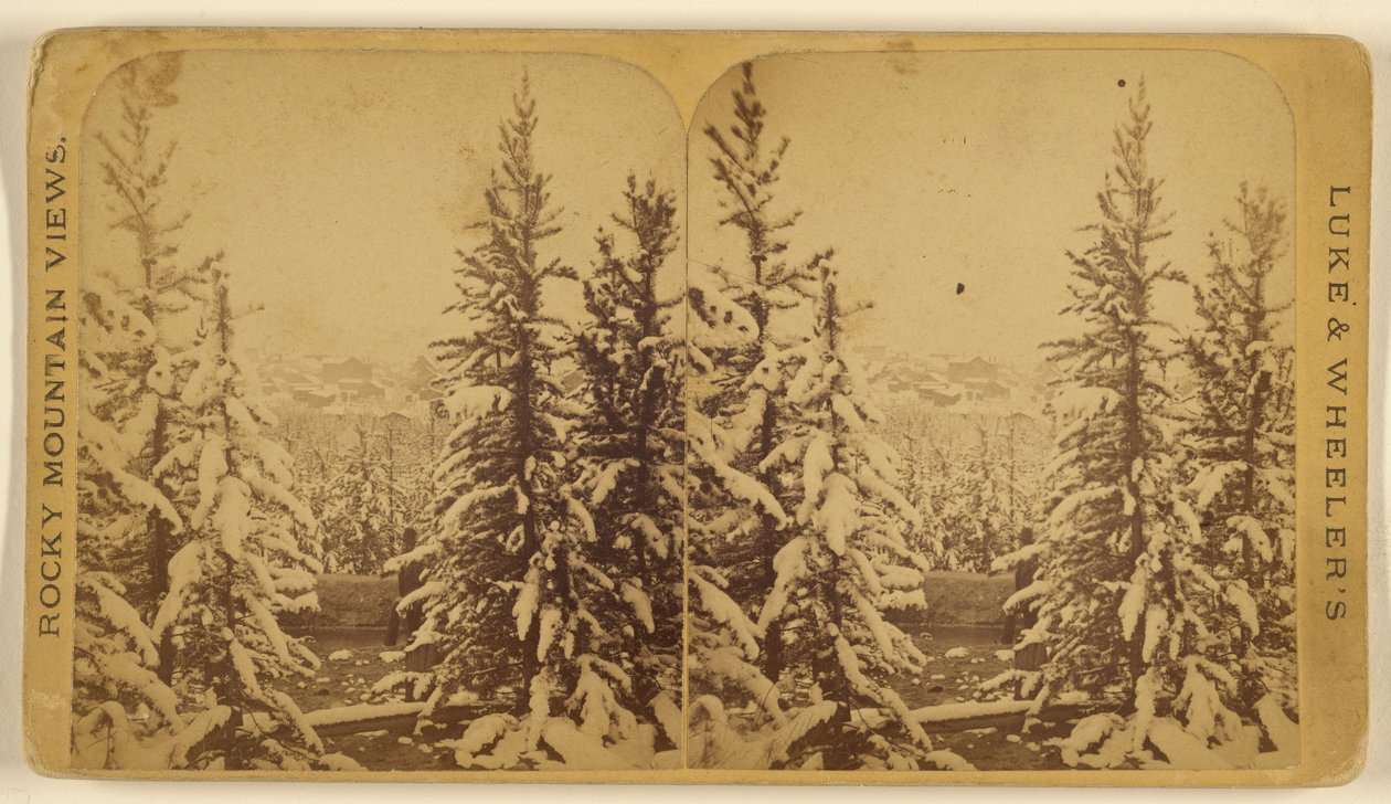 [Havas fák, Leadville, Colorado] alkotó: Wellington O. Luke and Dansford Noble Wheeler