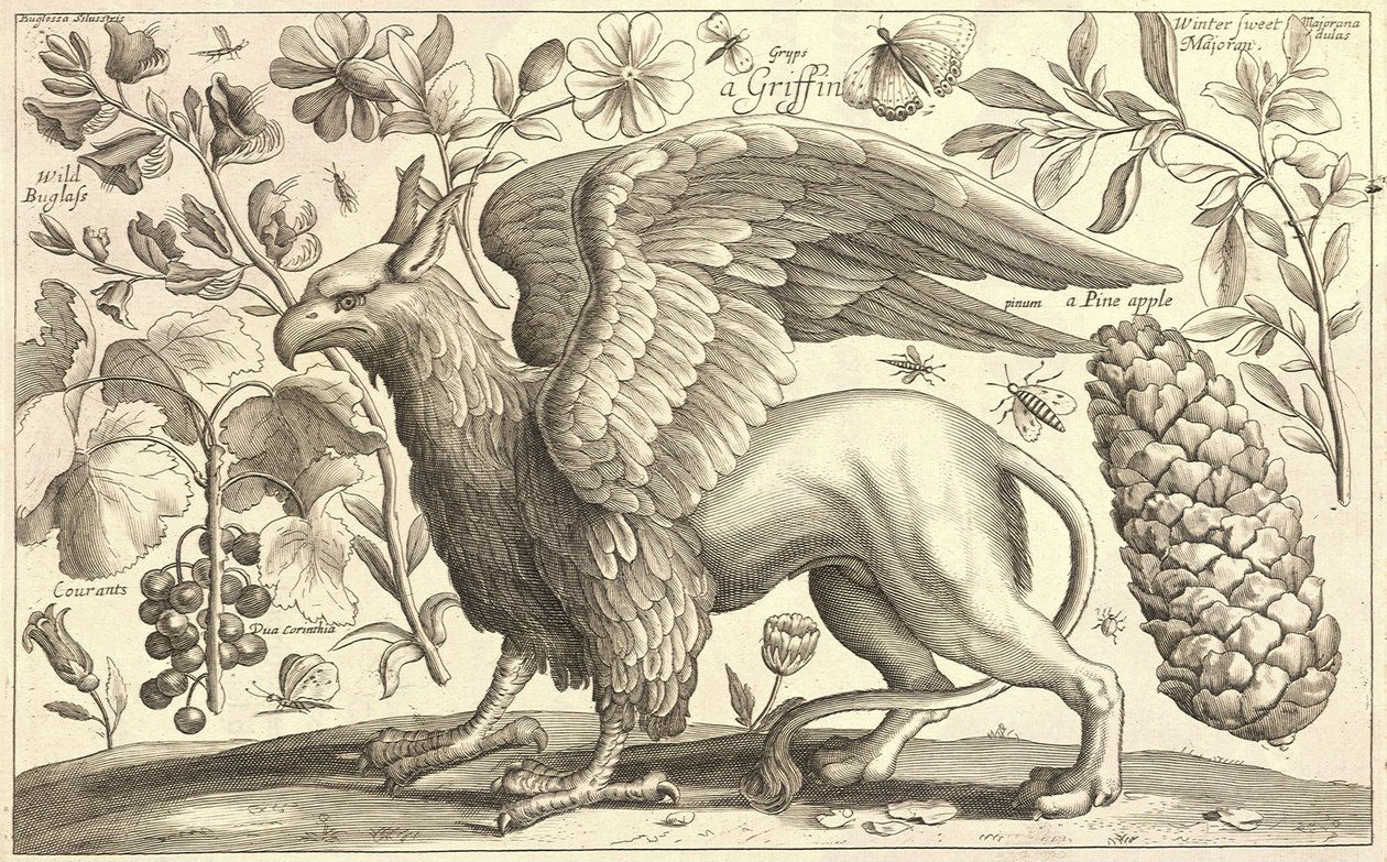 Egy griff alkotó: Wenceslaus Hollar