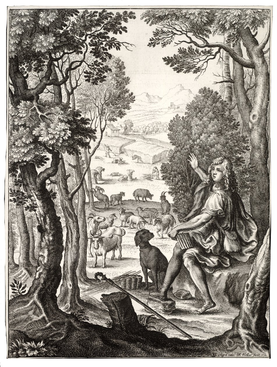 Alexis alkotó: Wenceslaus Hollar