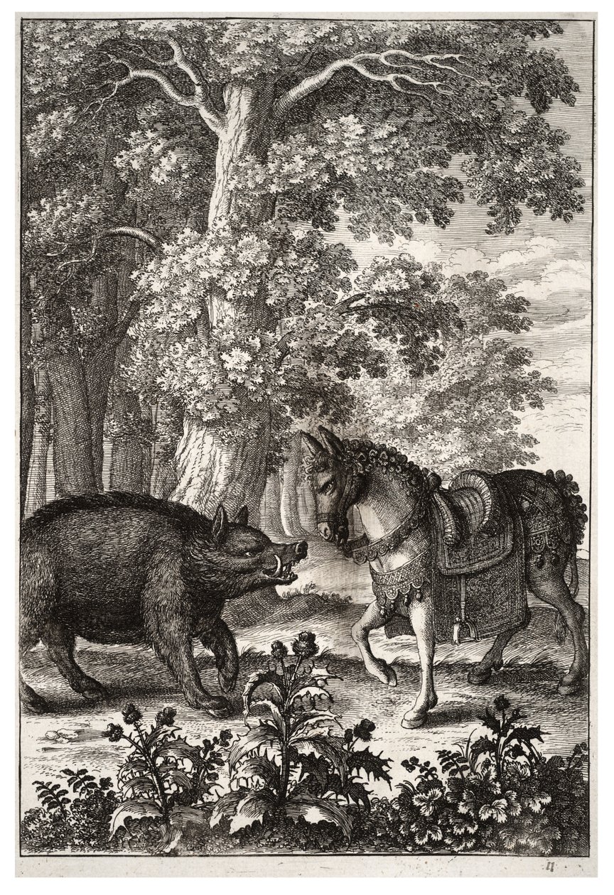 Vadkan és szamár alkotó: Wenceslaus Hollar