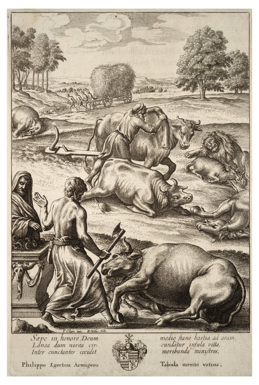 Szarvasmarha pestis. Állam 2 alkotó: Wenceslaus Hollar
