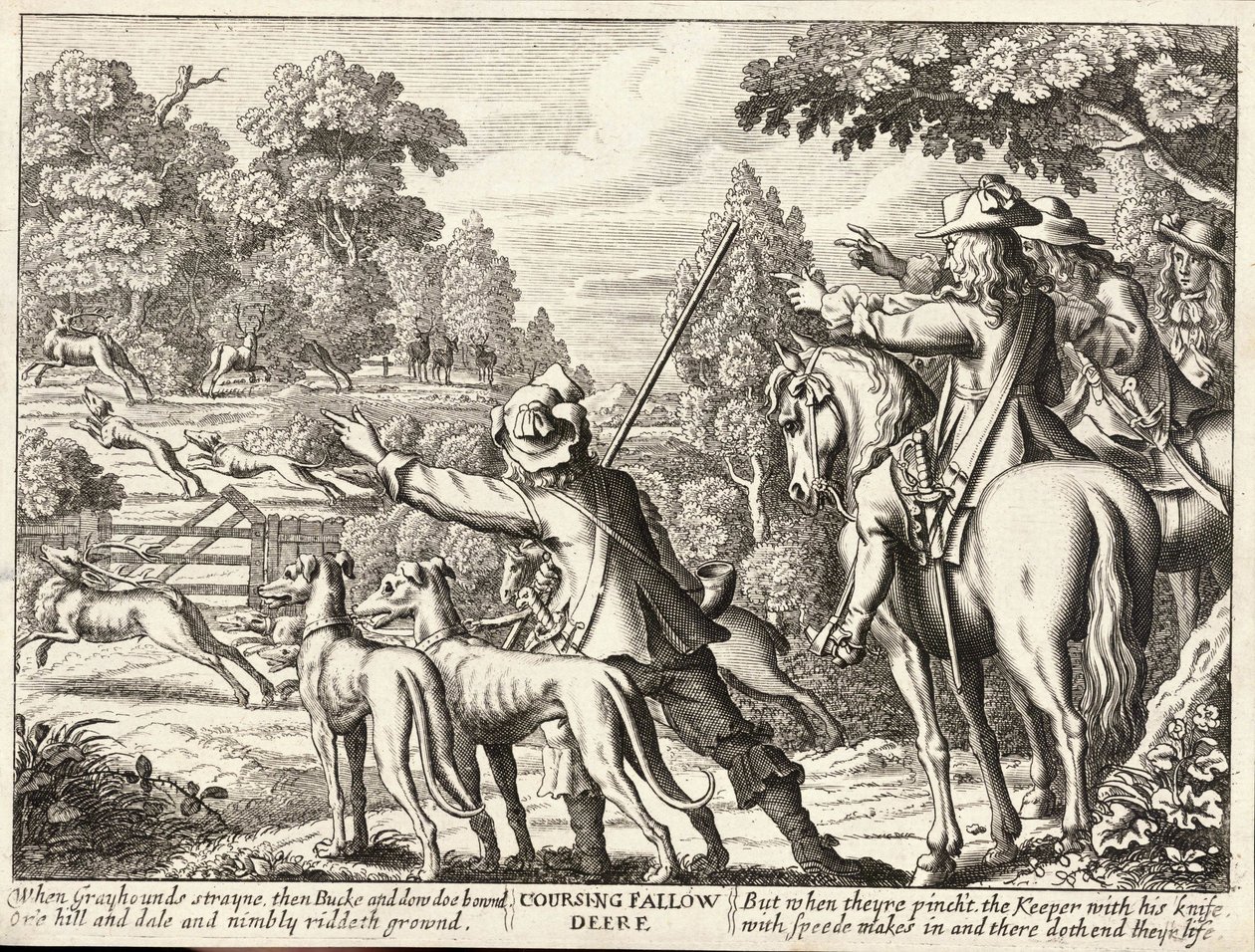 Kanyargó dámvad alkotó: Wenceslaus Hollar