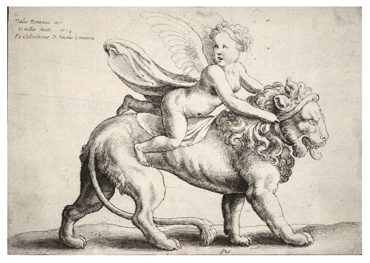Ámor oroszlánra, Giulio Romano után alkotó: Wenceslaus Hollar