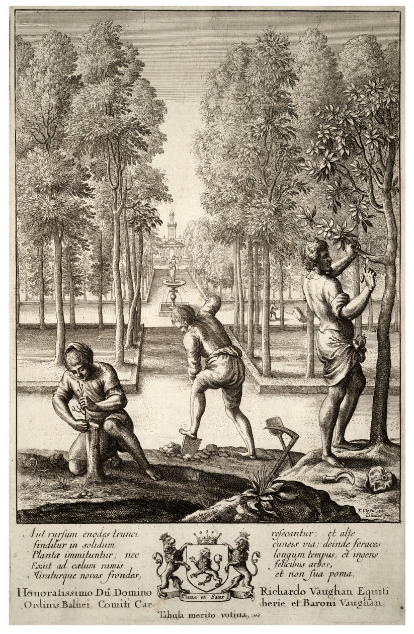 Kertészkedés. 1. állam alkotó: Wenceslaus Hollar