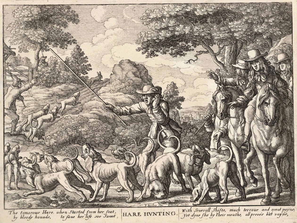 Nyúlvadászat alkotó: Wenceslaus Hollar