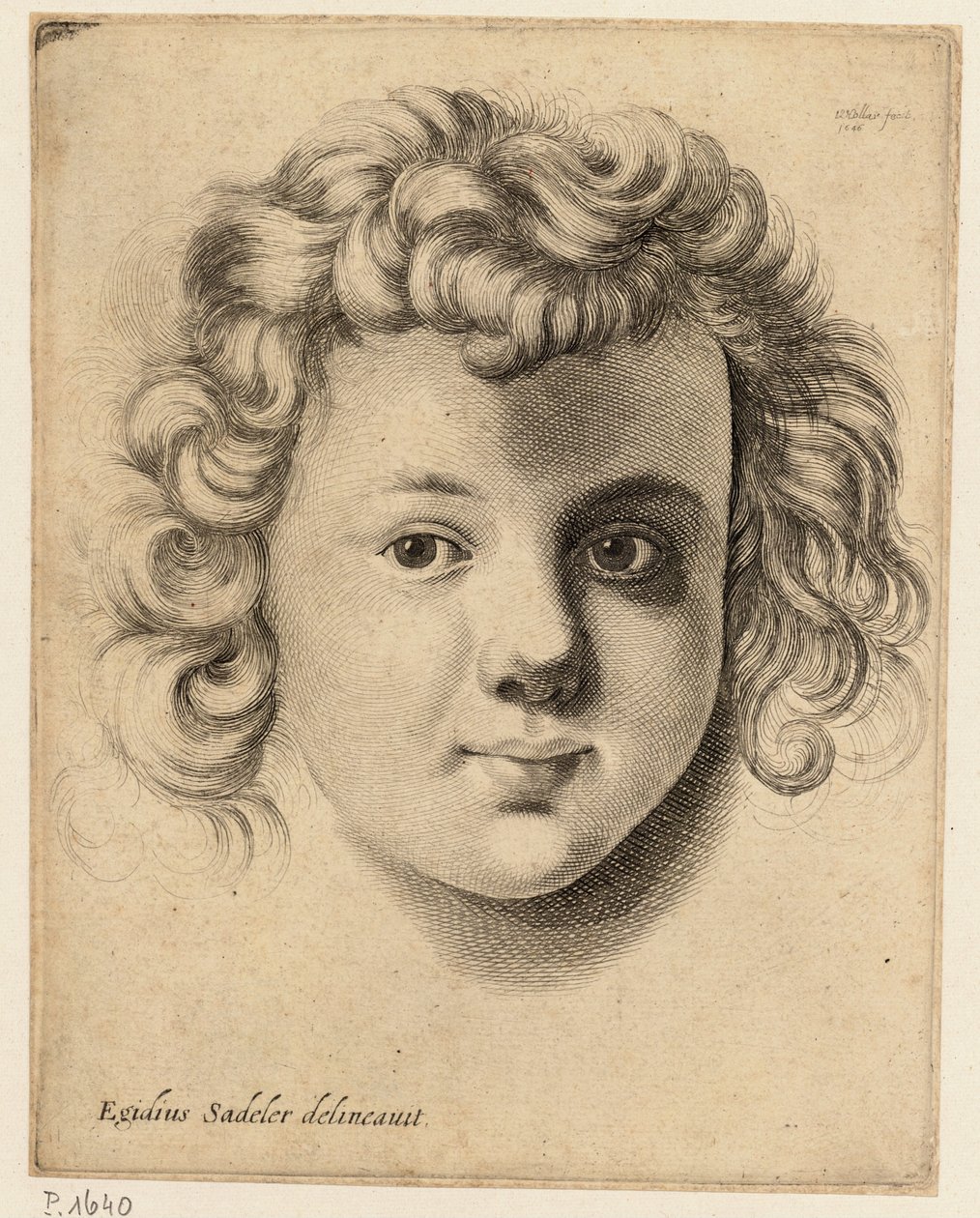 Egy gyermek feje, Sadeler után alkotó: Wenceslaus Hollar