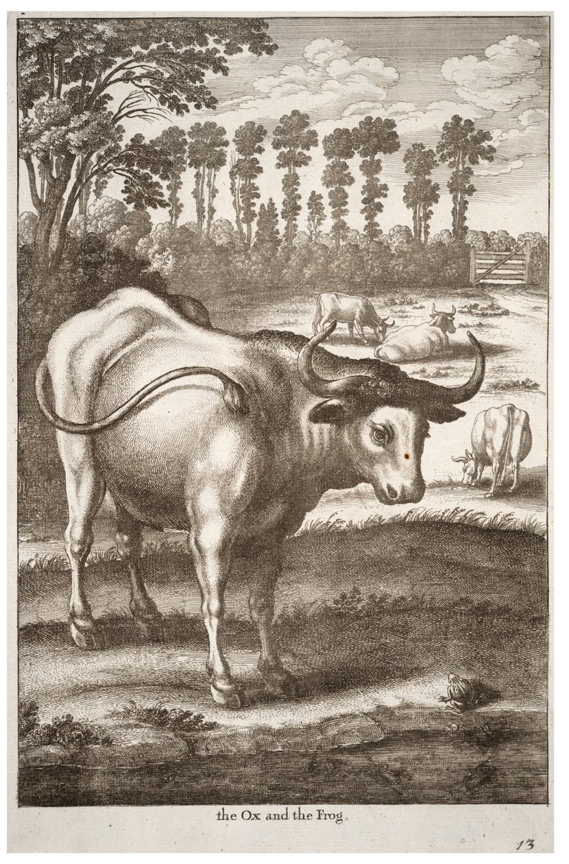 Ökör és béka alkotó: Wenceslaus Hollar