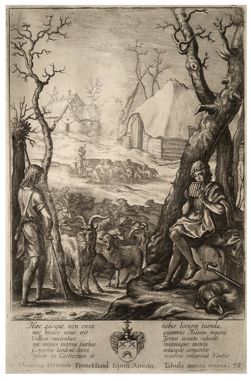 Állattenyésztés. 3. állapot alkotó: Wenceslaus Hollar