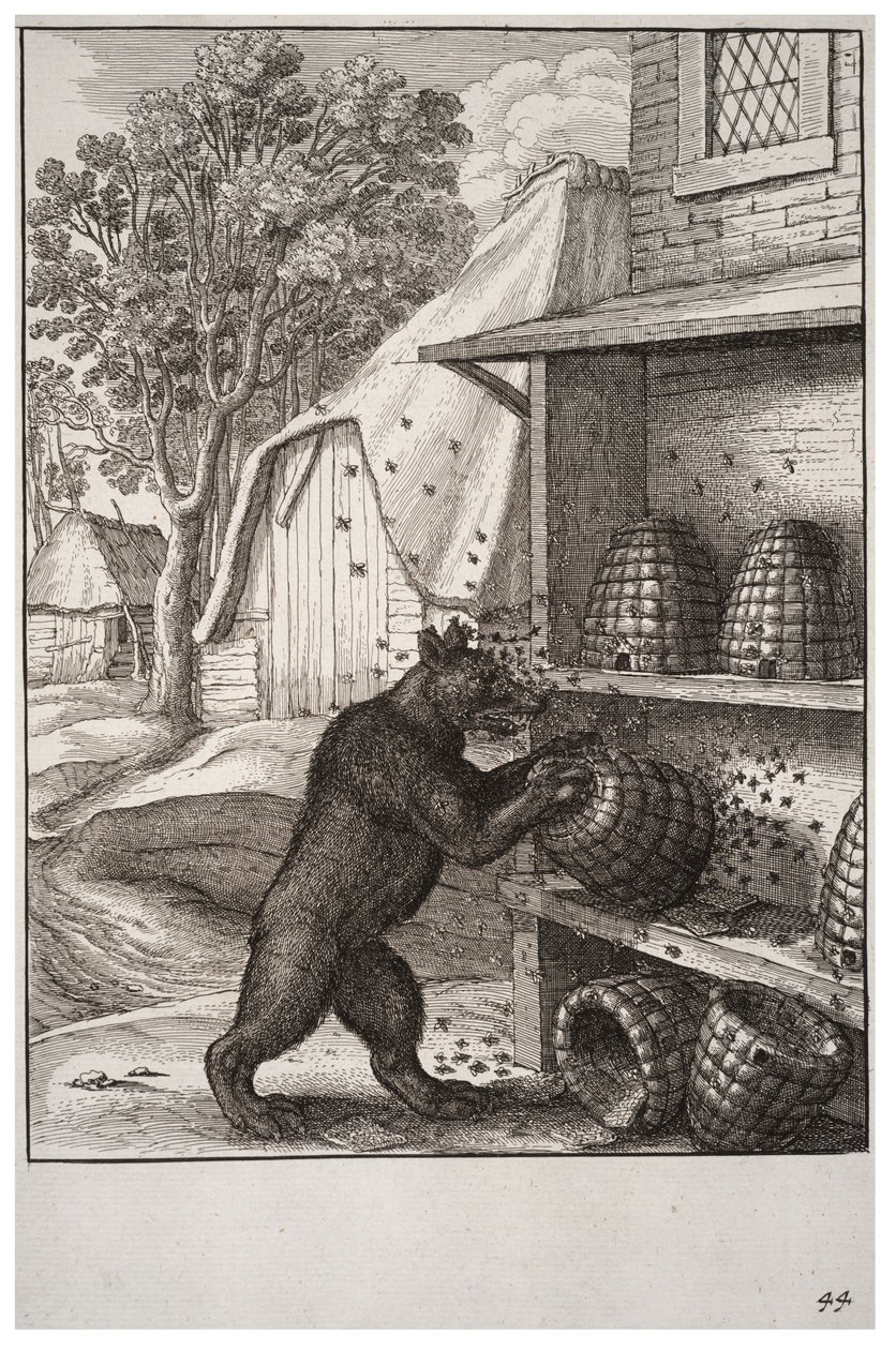 A medve és a méz alkotó: Wenceslaus Hollar