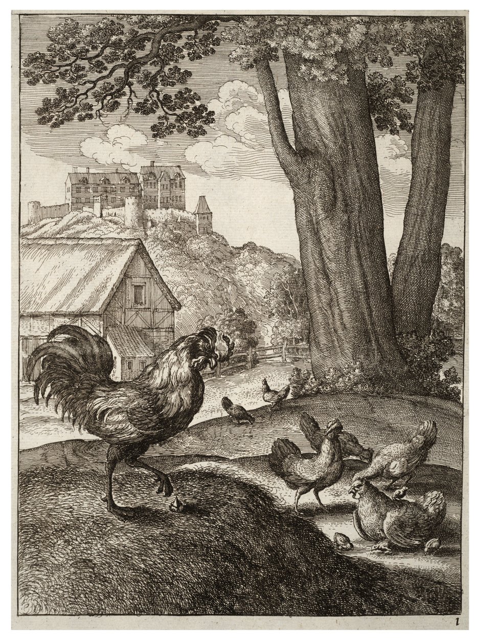 A kakas és az ékszer alkotó: Wenceslaus Hollar