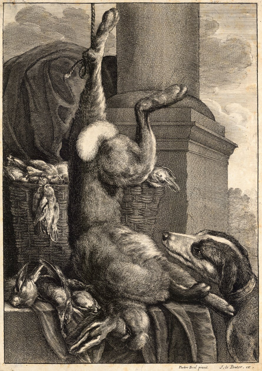 A döglött nyúl. 2. állapot alkotó: Wenceslaus Hollar