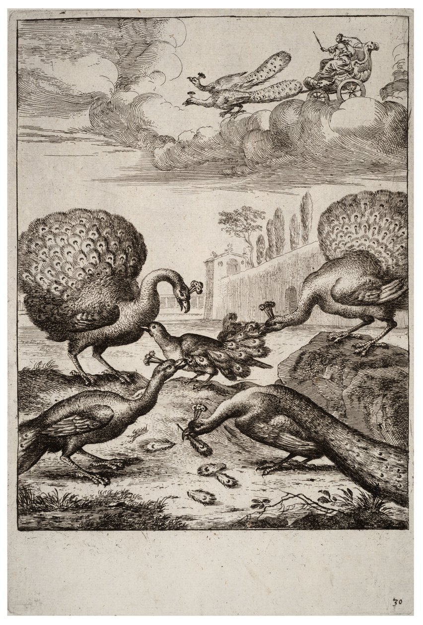 A szajkó és a páva alkotó: Wenceslaus Hollar