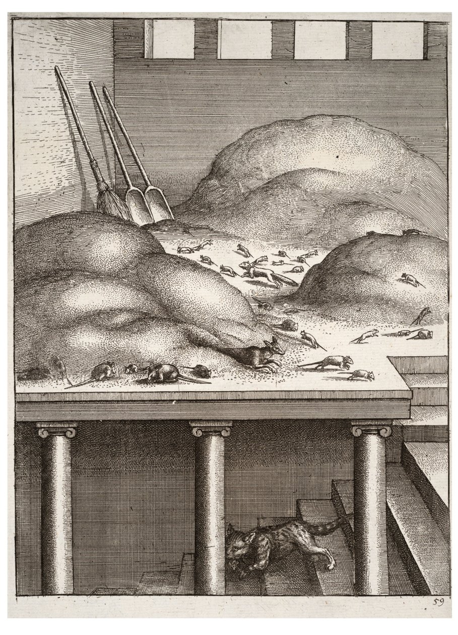 Az öreg menyét és az egerek alkotó: Wenceslaus Hollar