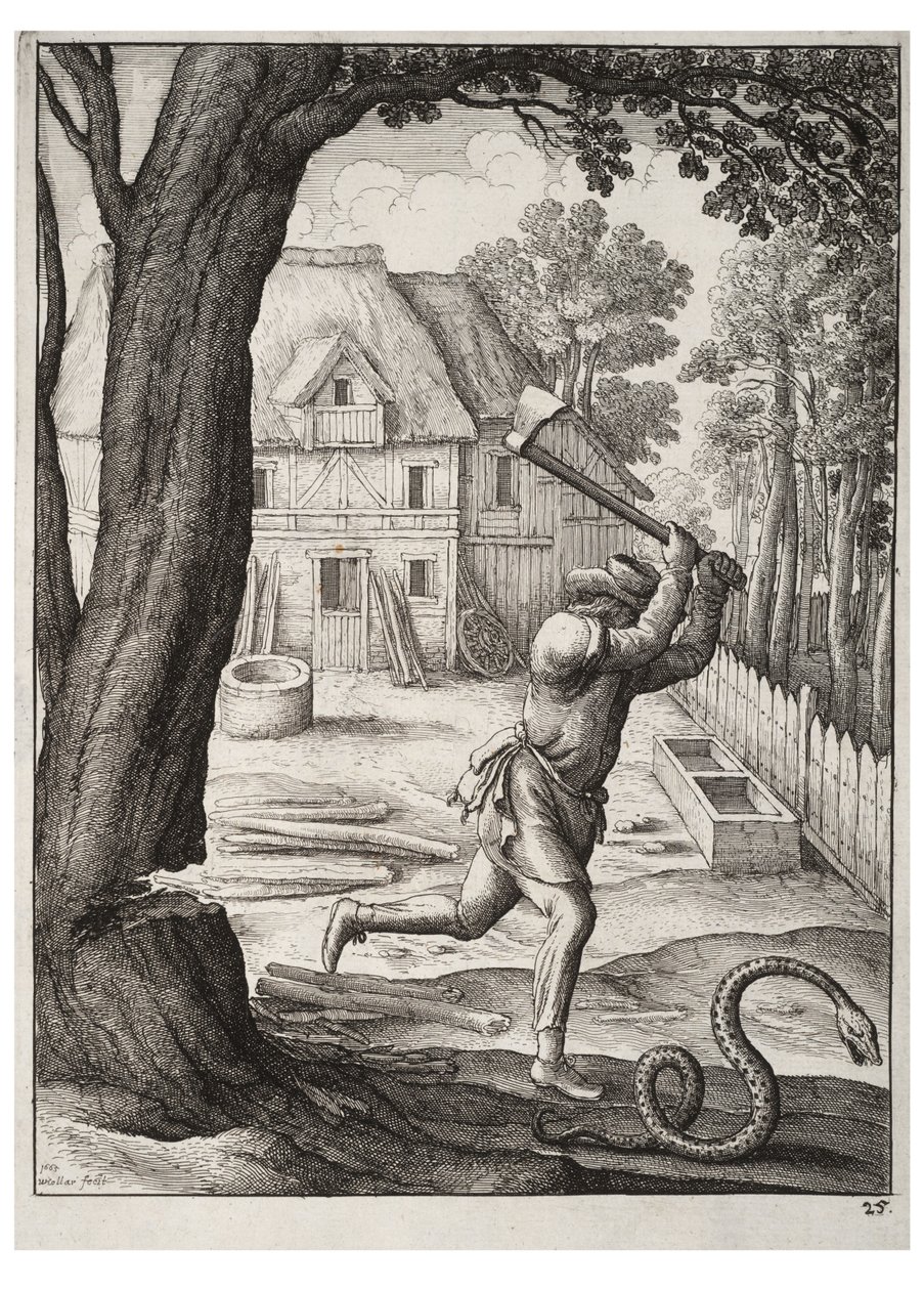A paraszt és a kígyó alkotó: Wenceslaus Hollar