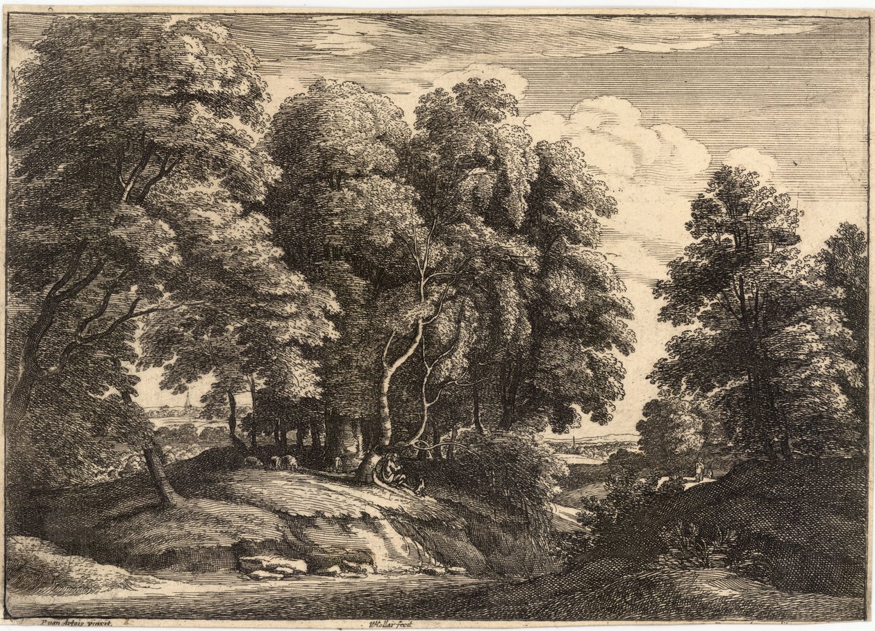 A pásztor az erdőben alkotó: Wenceslaus Hollar