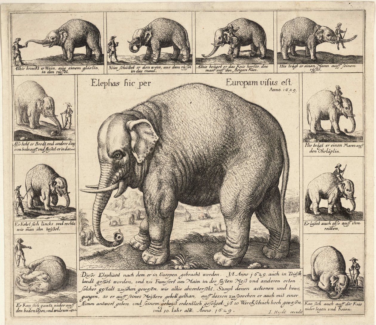 A szelíd elefánt alkotó: Wenceslaus Hollar