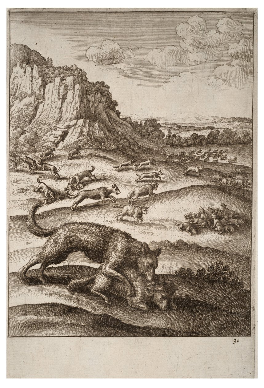 A farkasok és a juhok alkotó: Wenceslaus Hollar