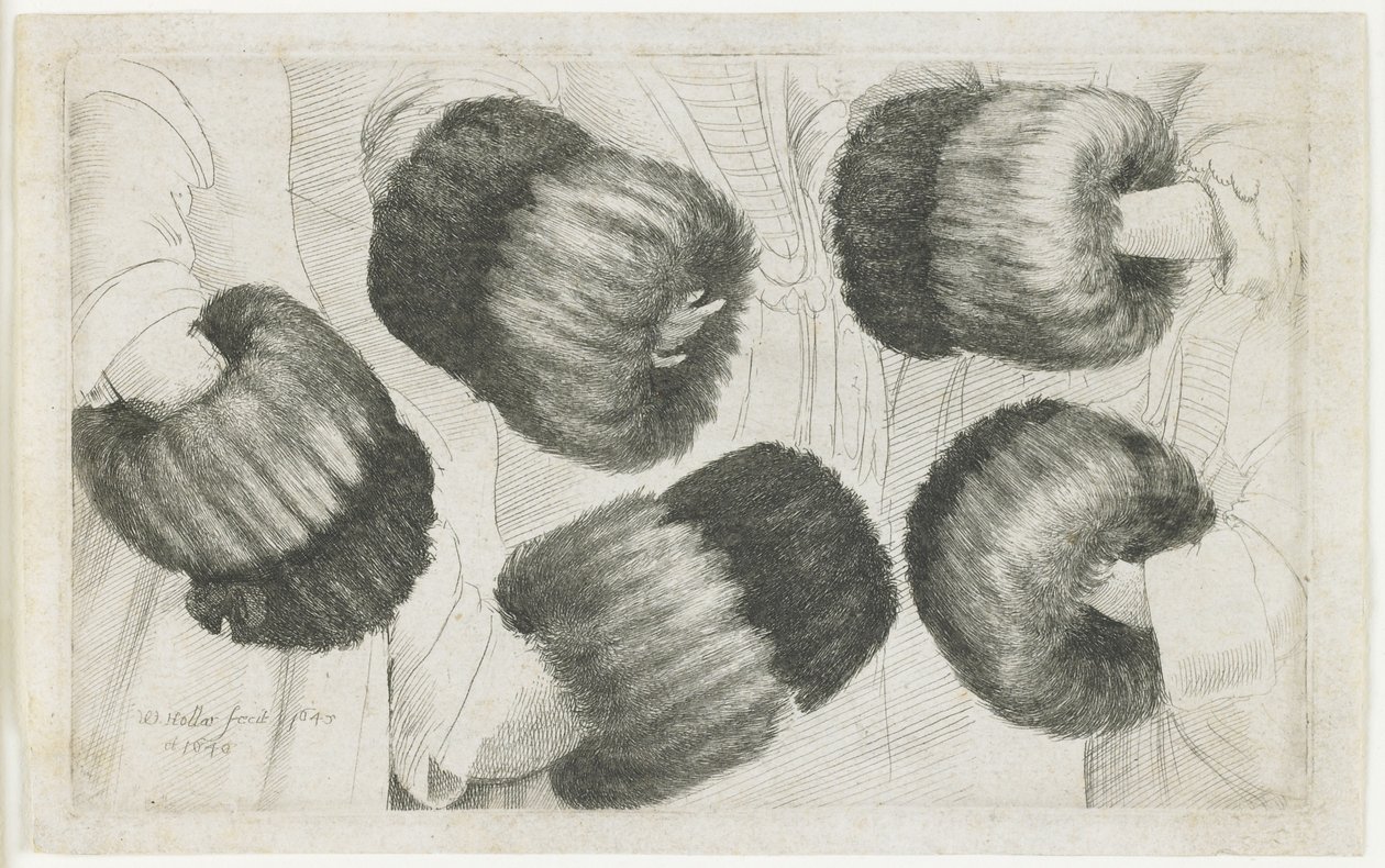 A Muff öt nézetben, 1645-1646 alkotó: Wenceslaus Hollar