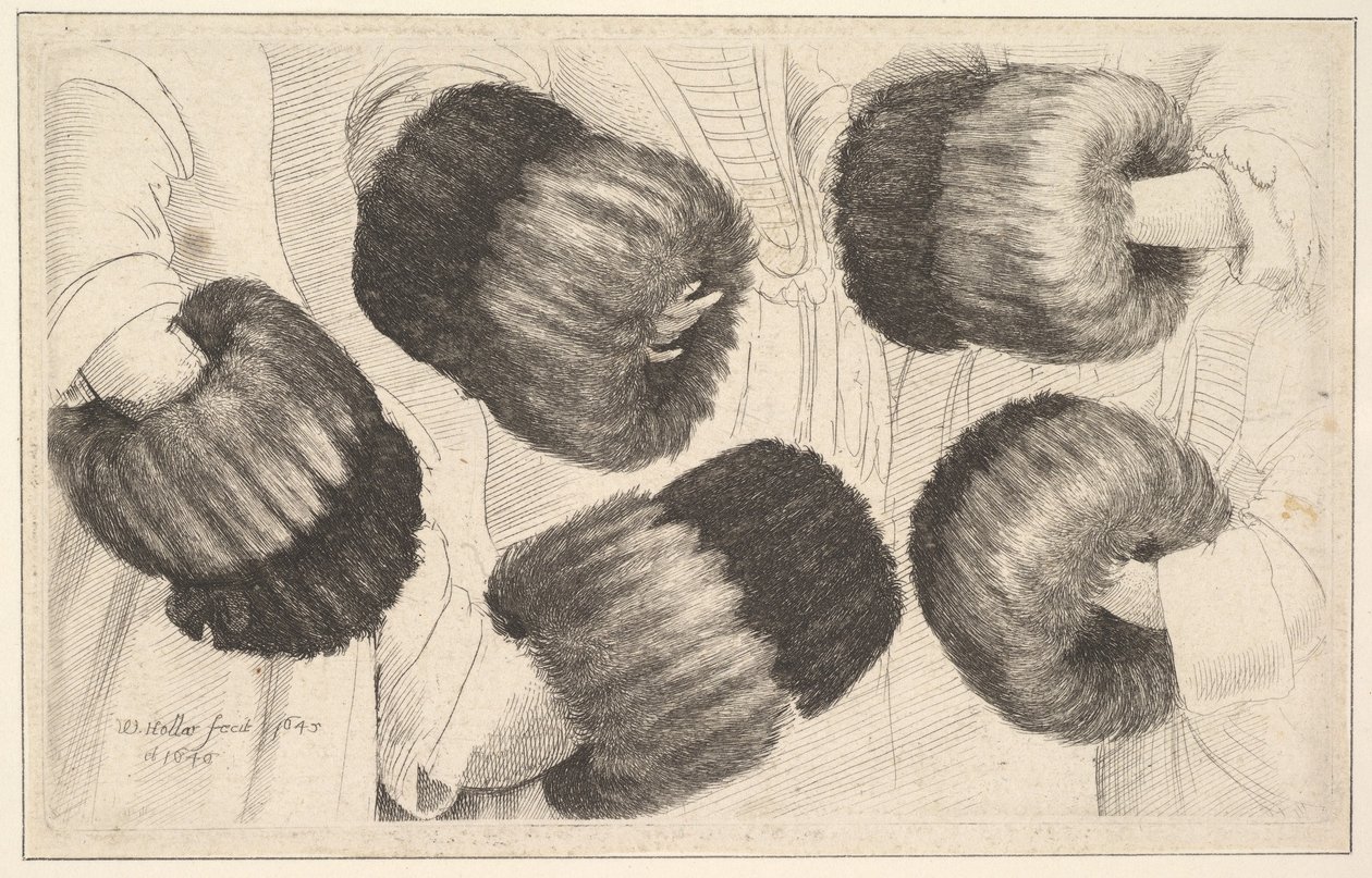 Muff öt nézetben, 1645-46. alkotó: Wenceslaus Hollar