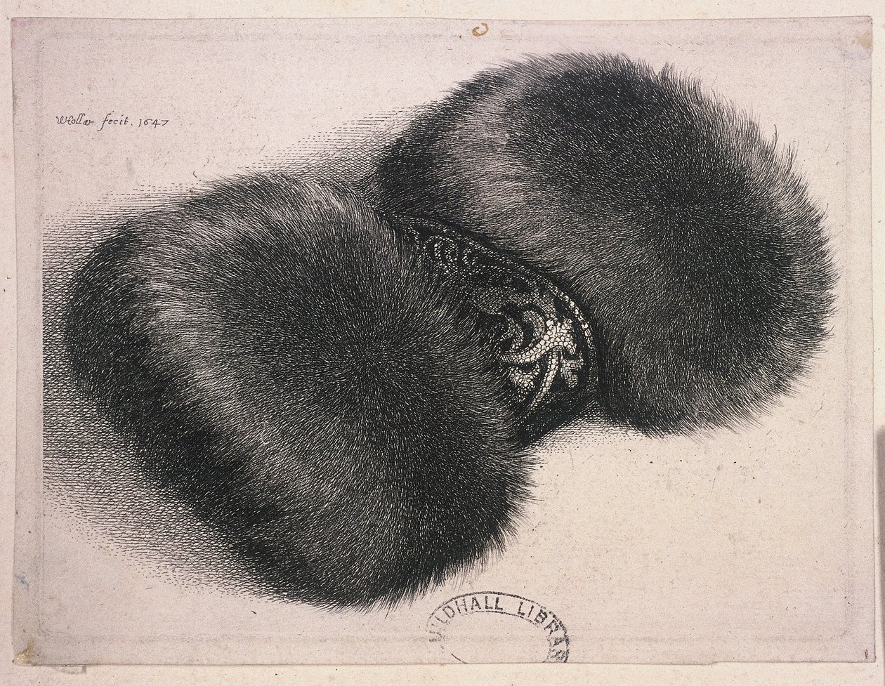 Egy nagy muff brokát szalaggal, 1647 alkotó: Wenceslaus Hollar