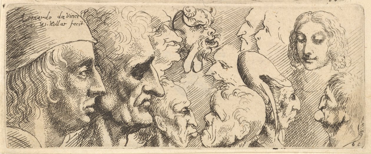 Különféle fejek, 1625-77. alkotó: Wenceslaus Hollar