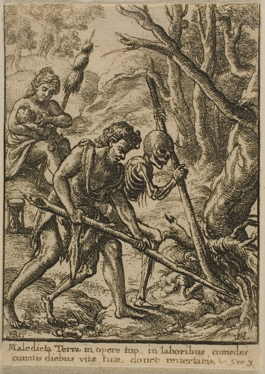 Adam szántó alkotó: Wenceslaus Hollar