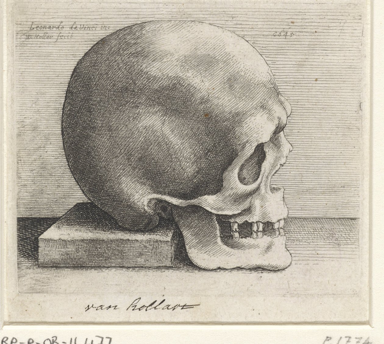 A koponya anatómiai vizsgálata alkotó: Wenceslaus Hollar