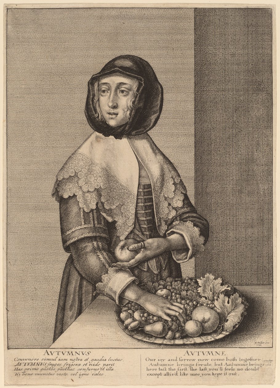 Ősz alkotó: Wenceslaus Hollar
