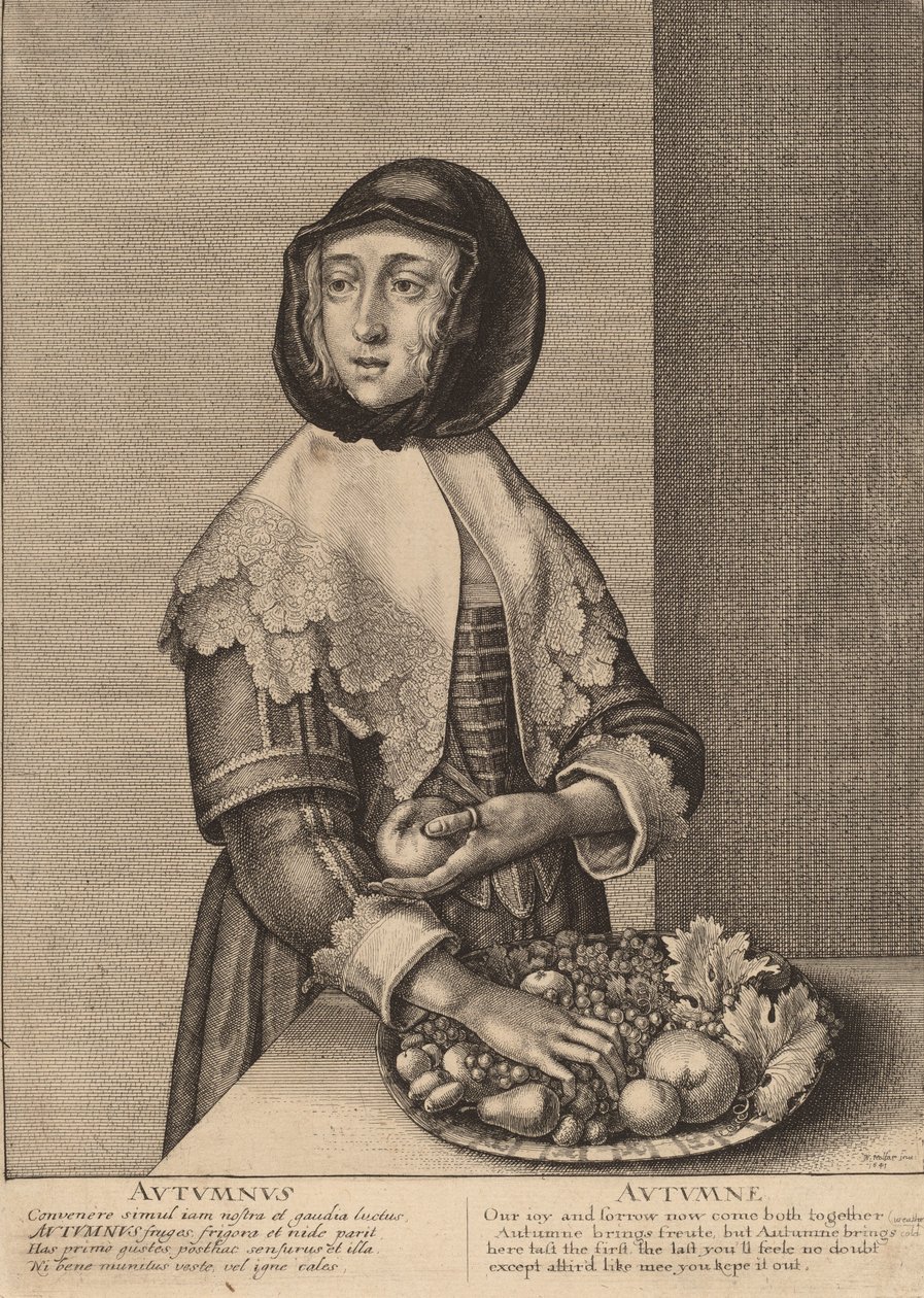 1641 ősz. alkotó: Wenceslaus Hollar