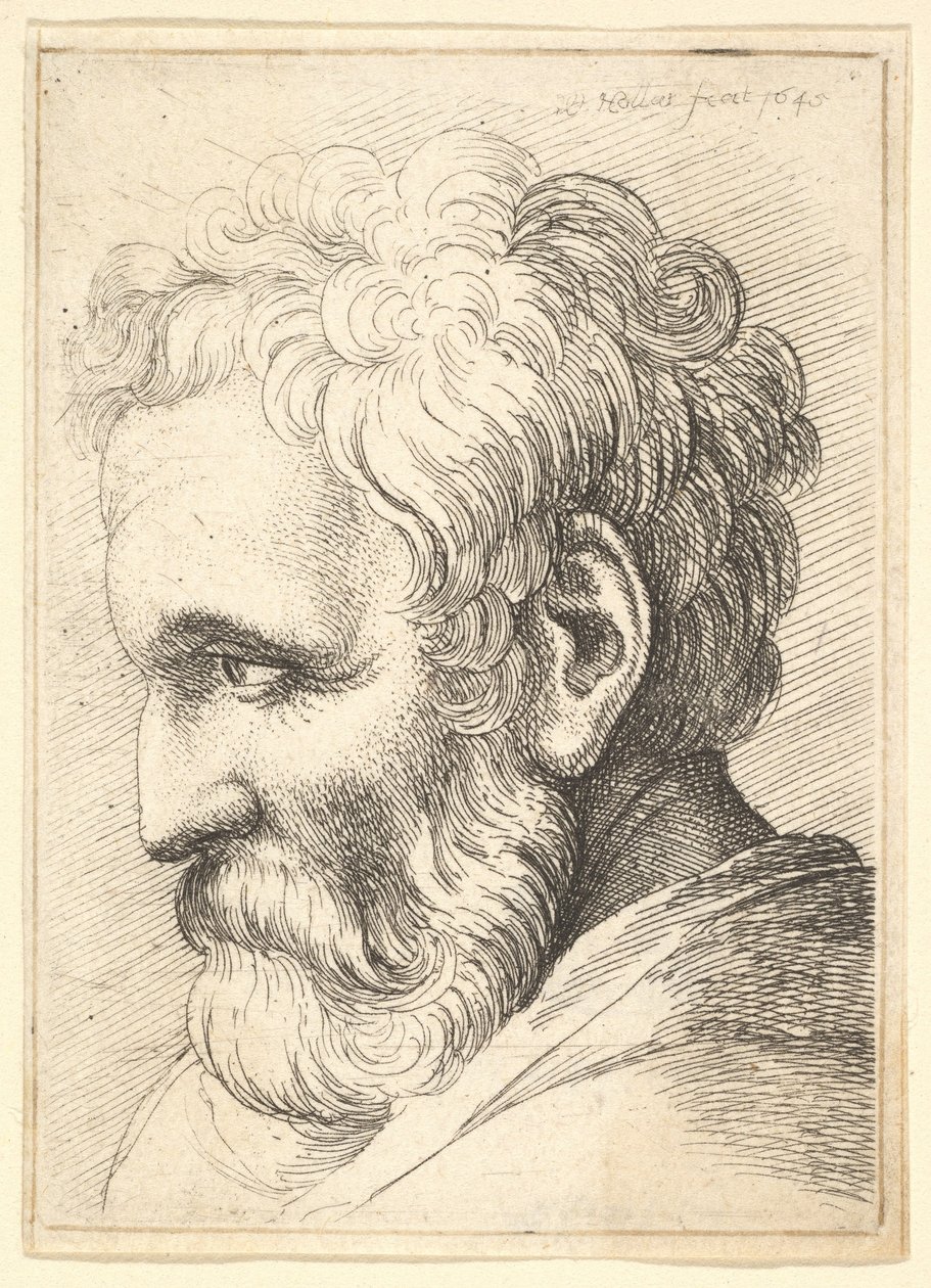 Szakállas öregember, 1645. alkotó: Wenceslaus Hollar