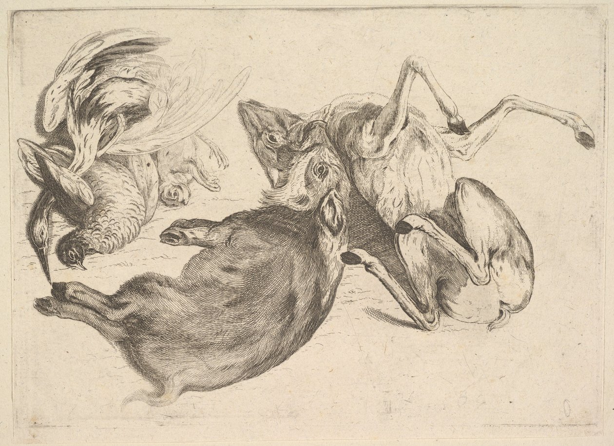 Vaddisznó, szarvas, gém és egyéb vad, 1625-77. alkotó: Wenceslaus Hollar