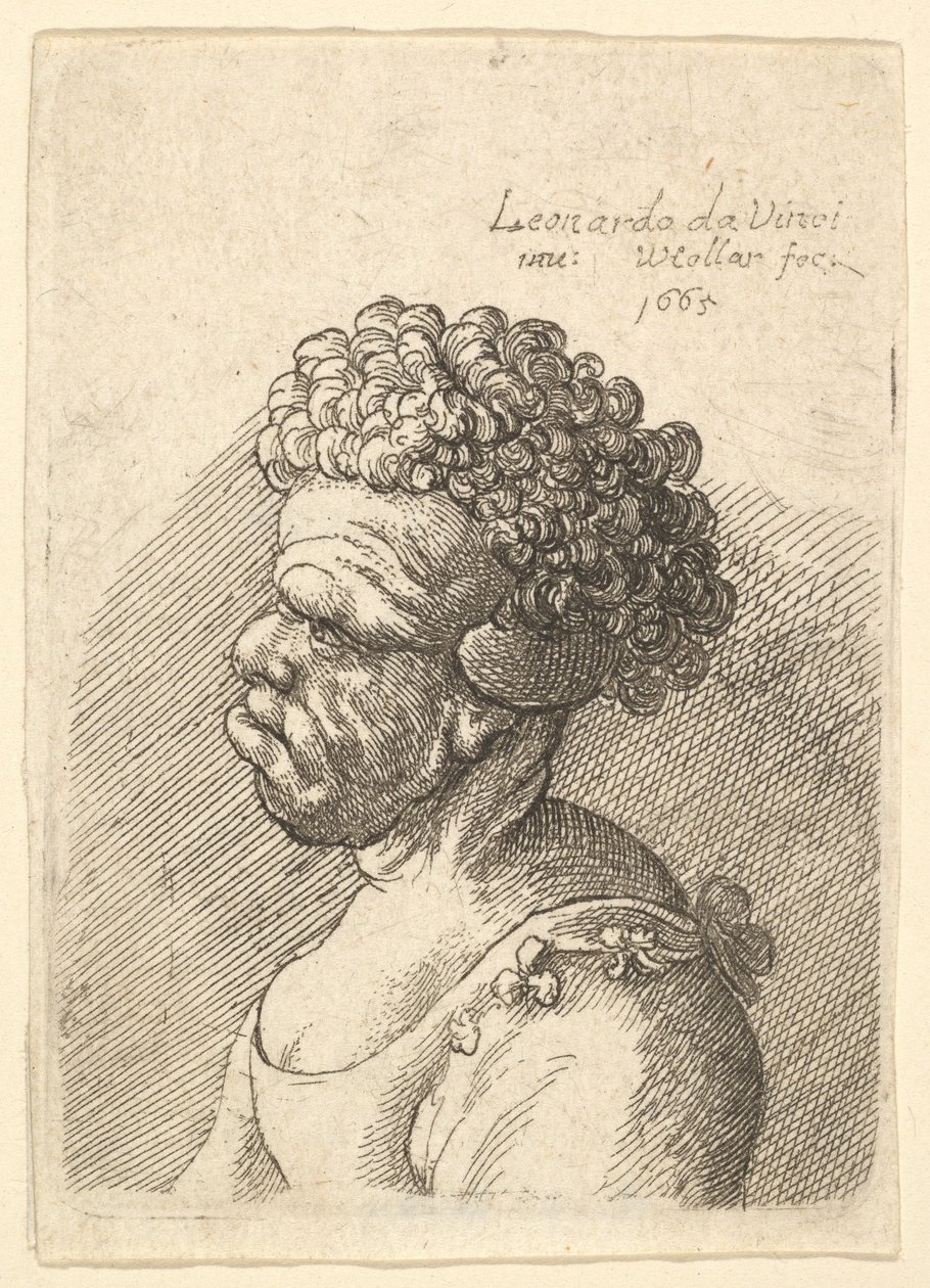 Egy torz hajú, göndör hajú nő mellképe balra, 1665. alkotó: Wenceslaus Hollar