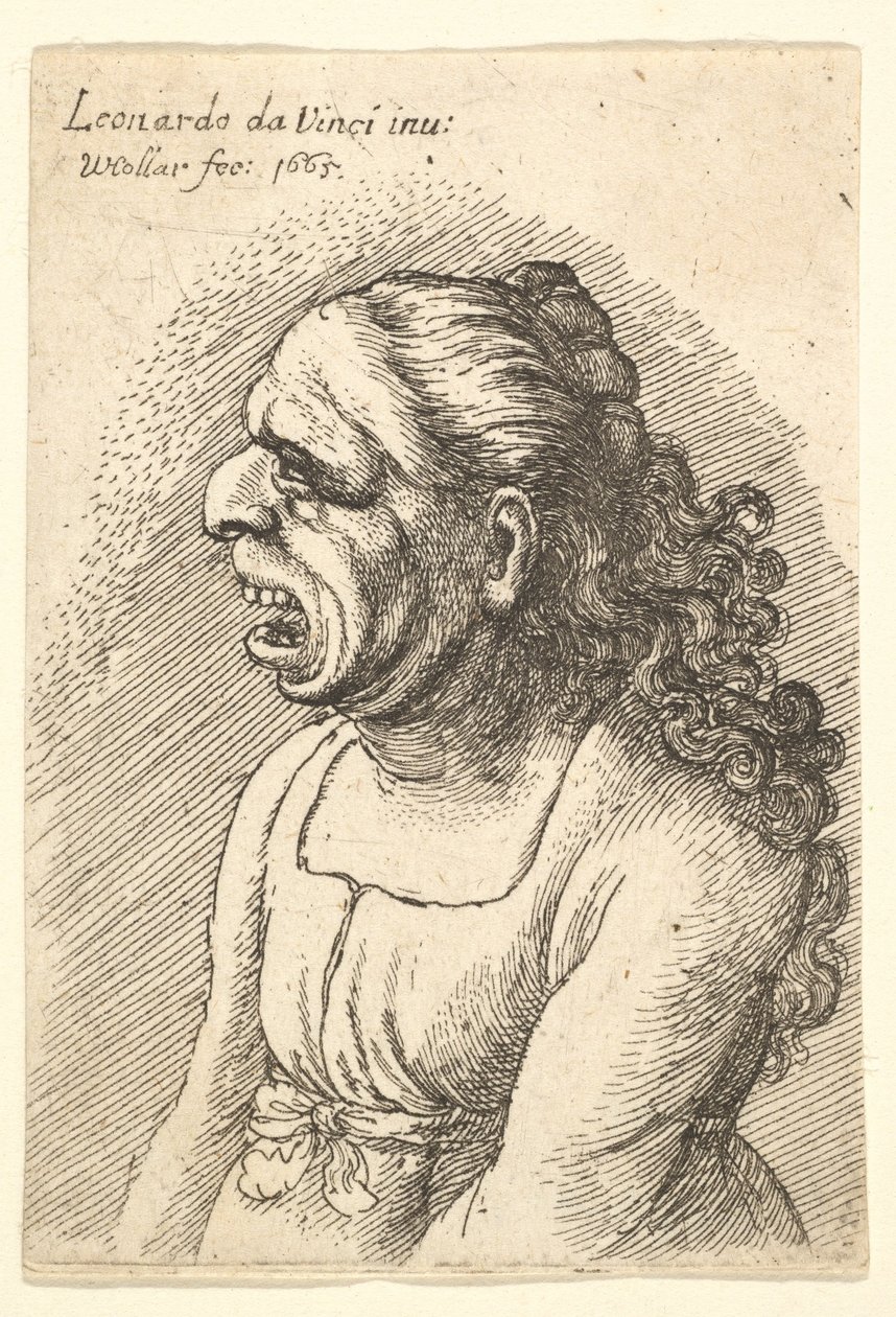 Tátott szájú, vállára omló, hosszú göndör hajú nő mellszobra..., 1665. alkotó: Wenceslaus Hollar