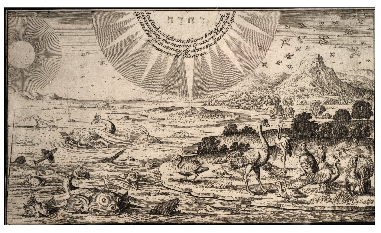 Madarak és halak teremtése. 1. állapot alkotó: Wenceslaus Hollar