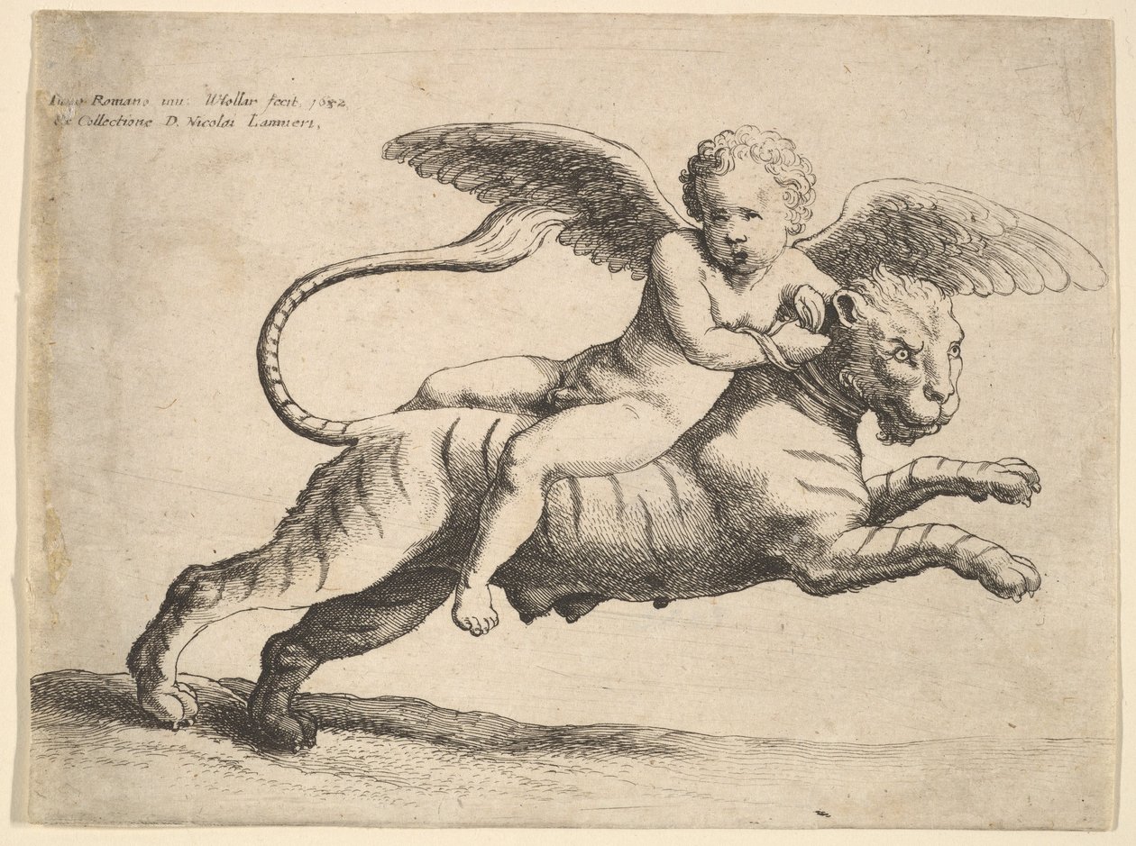 Ámor a tigrisön, 1652. alkotó: Wenceslaus Hollar