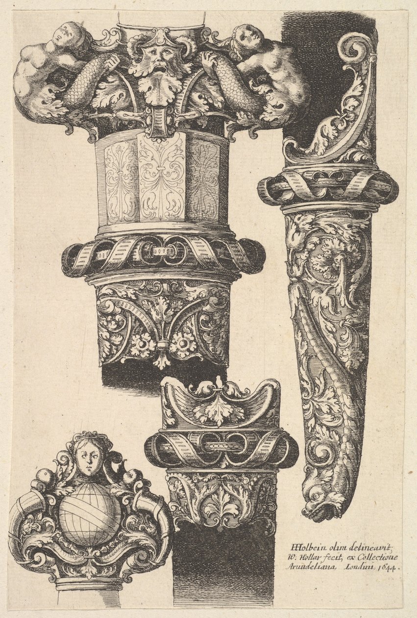 Tőrök és hüvelyek, 1625-77. alkotó: Wenceslaus Hollar