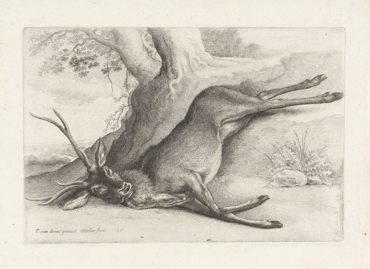 lelőtt szarvast Vadászat, vadászkutyák és vadak (sorozat címe) alkotó: Wenceslaus Hollar