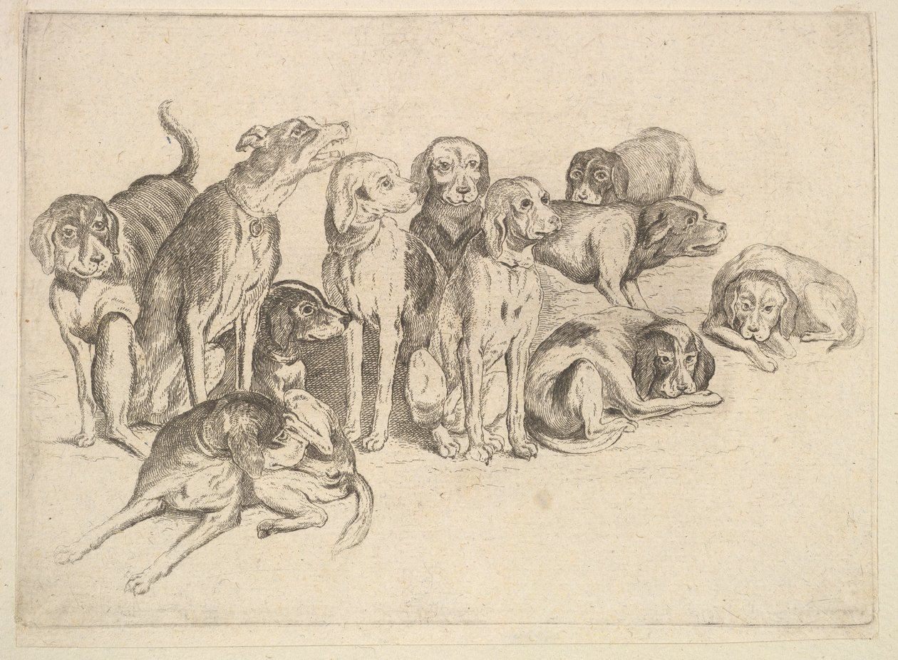 Tizenegy vadászkutya alkotó: Wenceslaus Hollar