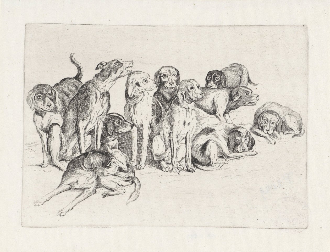Tizenegy vadászkutya alkotó: Wenceslaus Hollar